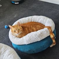 Photo of Zoe & Simba