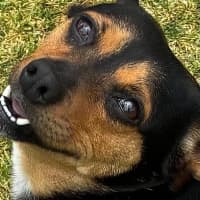 Photo of Kadie