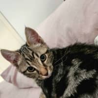 Photo of Mister Mason Munchy 