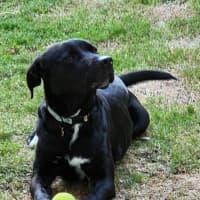 Photo of Missy