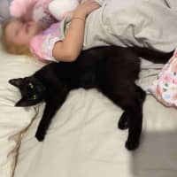 Photo of Mystery