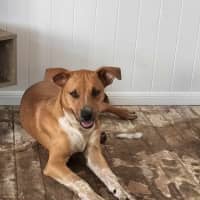 Photo of Lewis (Louie)