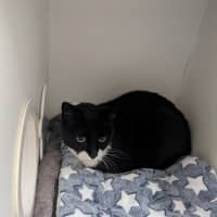 Photo of Postman Pat