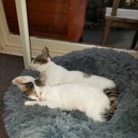 Photo of Richie 💙