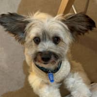 Photo of Tommy