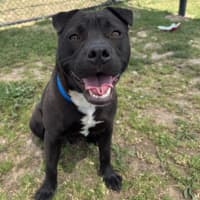 Photo of Fernando Imp 2792