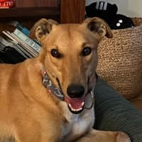 Photo of Stanley