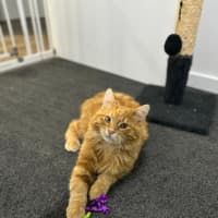 Photo of Sir Jerry