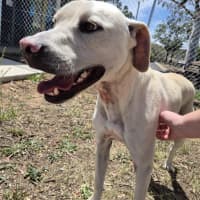 Photo of Ranger! ☮️🕊