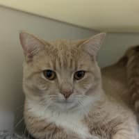 Photo of 🥞 Rupert 5644 🥞