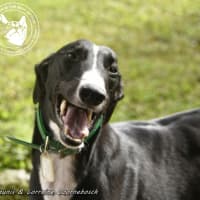 Photo of Jake (Forner's Reign)