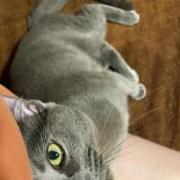Photo of Casper