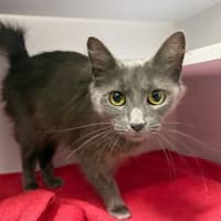 Photo of Winnie Woo
