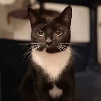 Photo of Imogen