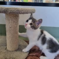 Photo of Mr Percival