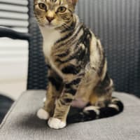 Photo of Wednesday 💕