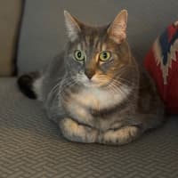 Photo of Alf