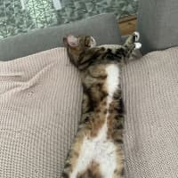 Photo of Little Miss & Yoyo