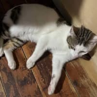 Photo of Nudge