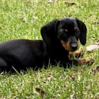 Photo of Sumi (Aka Katy)