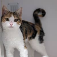 Photo of Tilly