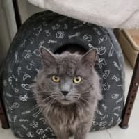 Photo of Jive