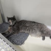 Photo of 💞 Tilly 6927 💞