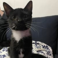 Photo of Evelyn