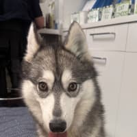 Photo of Miss Grayson