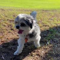 Photo of Belle And Hugo 