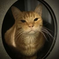Photo of Marley
