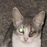 Photo of Tia