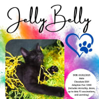 Photo of Jelly Belly