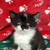 Photo of Moana 🌷🌷🌷