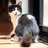 Photo of Gretel Moriarty