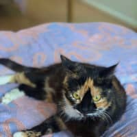 Photo of Viv (Vivienne)