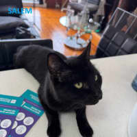 Photo of Salem