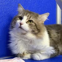 Photo of Furrnando