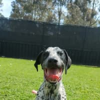 Photo of Lainey