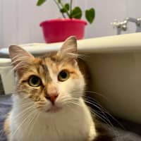 Photo of Kiki
