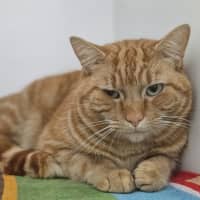 Photo of George