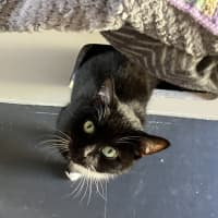 Photo of Sparkles