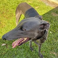 Photo of Wally