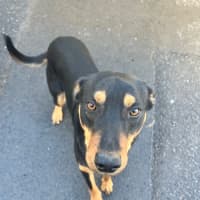 Photo of Pirate Jeff