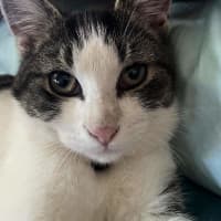 Photo of Elfie