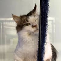 Photo of Lili