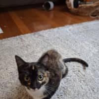 Photo of Ember