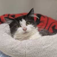 Photo of 🦄 Puurl 6332 🦄