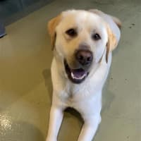 Photo of Spyder