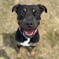 Photo of Tilly Imp 2563